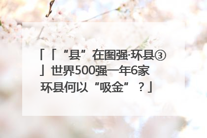 「“县”在图强·环县③」世界500强一年6家 环县何以“吸金”？