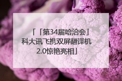 「第34届哈洽会」科大讯飞携双屏翻译机2.0惊艳亮相