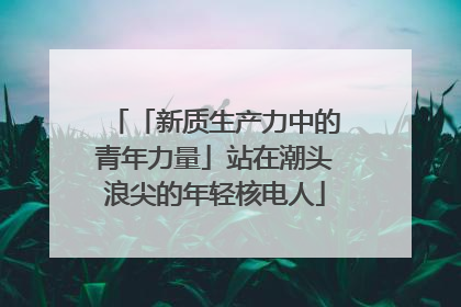 「新质生产力中的青年力量」站在潮头浪尖的年轻核电人