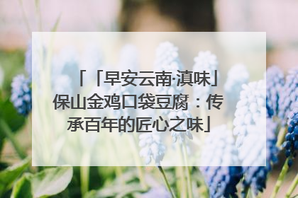 「早安云南·滇味」保山金鸡口袋豆腐：传承百年的匠心之味