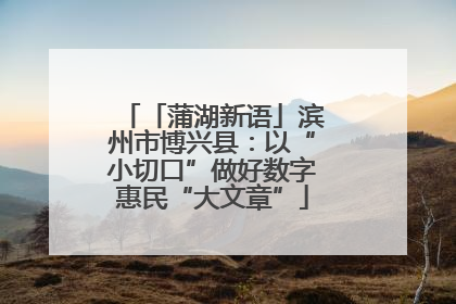 「蒲湖新语」滨州市博兴县：以“小切口”做好数字惠民“大文章”