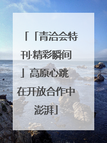 「青洽会特刊·精彩瞬间」高原心跳 在开放合作中澎湃