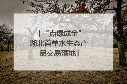 “点绿成金” 湖北首单水生态产品交易落地