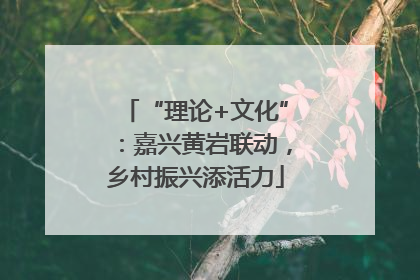 “理论+文化”：嘉兴黄岩联动，乡村振兴添活力