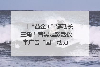 “益企+”链动长三角！青吴嘉激活数字广告“园”动力