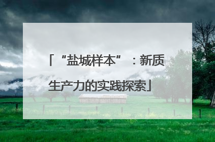 “盐城样本”：新质生产力的实践探索