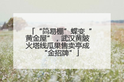 “简易棚”蝶变“黄金屋”，武汉黄陂火塔线瓜果售卖亭成“金招牌”