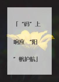 “码”上响应 “阳”帆护航