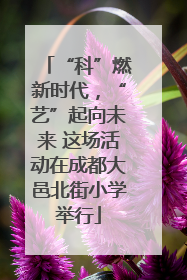 “科”燃新时代，“艺”起向未来 这场活动在成都大邑北街小学举行
