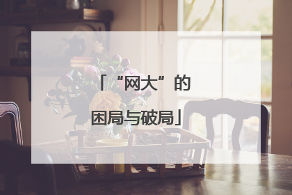 “网大”的困局与破局
