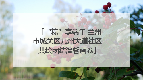 “粽”享端午 兰州市城关区九州大道社区共绘团结温馨画卷