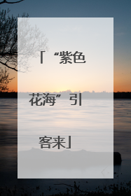 “紫色花海”引客来