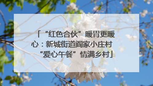 “红色合伙”暖胃更暖心：新城街道阎家小庄村“爱心午餐”情满乡村