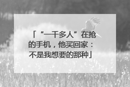 “一千多人”在抢的手机，他买回家：不是我想要的那种