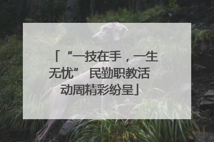 “一技在手，一生无忧” 民勤职教活动周精彩纷呈