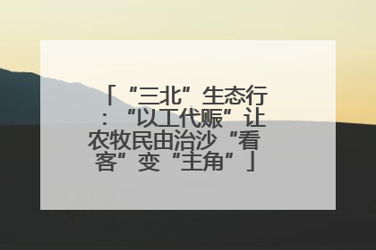 “三北”生态行：“以工代赈”让农牧民由治沙“看客”变“主角”