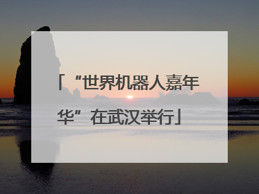 “世界机器人嘉年华”在武汉举行