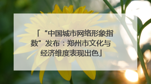 “中国城市网络形象指数”发布：郑州市文化与经济维度表现出色