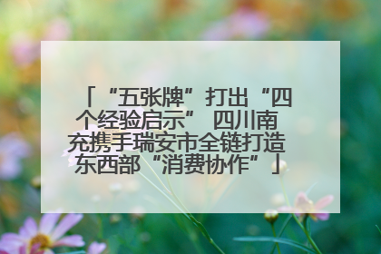 “五张牌”打出“四个经验启示” 四川南充携手瑞安市全链打造东西部“消费协作”