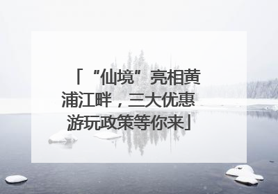 “仙境”亮相黄浦江畔，三大优惠游玩政策等你来