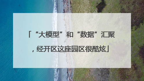 “大模型”和“数据”汇聚，经开区这座园区很酷炫
