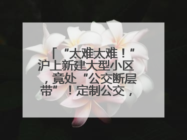 “太难太难！”沪上新建大型小区，竟处“公交断层带”！定制公交，又成“鸡肋”