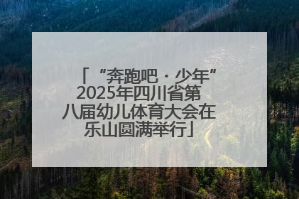 “奔跑吧・少年”2025年四川省第八届幼儿体育大会在乐山圆满举行
