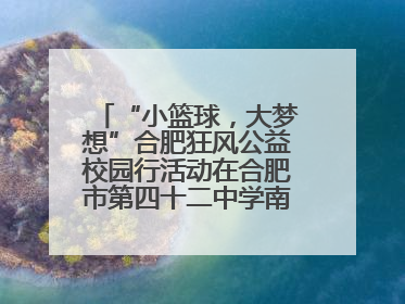 “小篮球，大梦想”合肥狂风公益校园行活动在合肥市第四十二中学南城分校圆满落幕