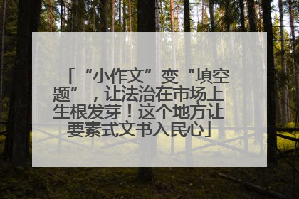 “小作文”变“填空题”，让法治在市场上生根发芽！这个地方让要素式文书入民心