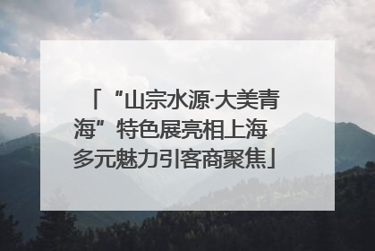 “山宗水源·大美青海”特色展亮相上海 多元魅力引客商聚焦