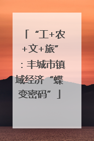 “工+农+文+旅”：丰城市镇域经济“蝶变密码”
