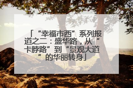 “幸福市西”系列报道之二：盛华路，从“卡脖路”到“景观大道”的华丽转身