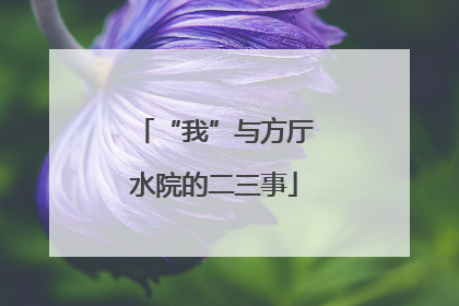 “我”与方厅水院的二三事