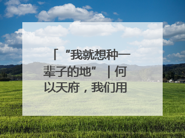 “我就想种一辈子的地”｜何以天府，我们用粮食作答②