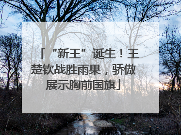 “新王”诞生！王楚钦战胜雨果，骄傲展示胸前国旗