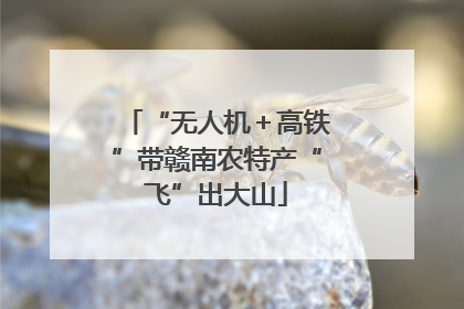 “无人机＋高铁”带赣南农特产“飞”出大山