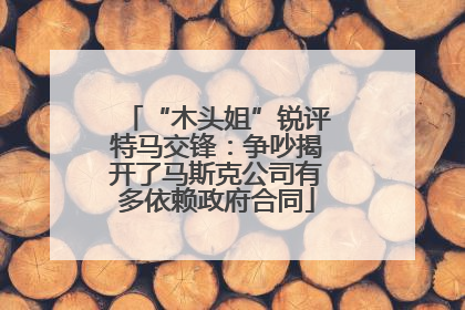 “木头姐”锐评特马交锋：争吵揭开了马斯克公司有多依赖政府合同