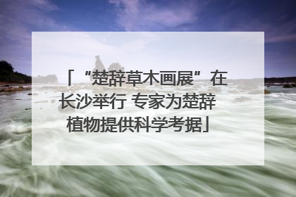 “楚辞草木画展”在长沙举行 专家为楚辞植物提供科学考据