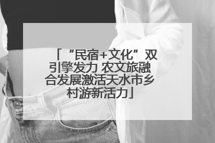 “民宿+文化”双引擎发力 农文旅融合发展激活天水市乡村游新活力