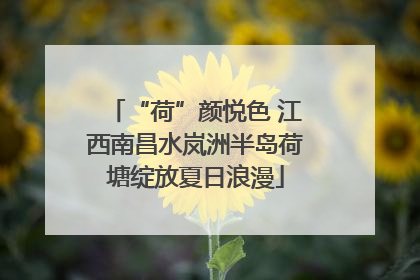 “荷”颜悦色 江西南昌水岚洲半岛荷塘绽放夏日浪漫