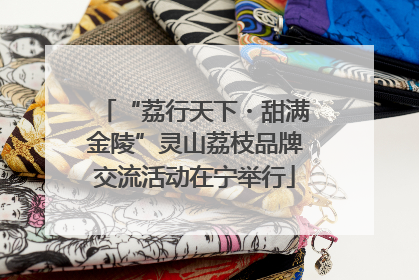 “荔行天下・甜满金陵”灵山荔枝品牌交流活动在宁举行