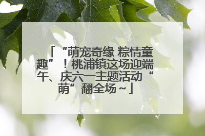 “萌宠奇缘 粽情童趣”！桃浦镇这场迎端午、庆六一主题活动“萌”翻全场～