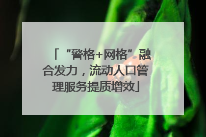 “警格+网格”融合发力，流动人口管理服务提质增效