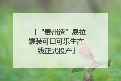 “贵州造”易拉罐装可口可乐生产线正式投产