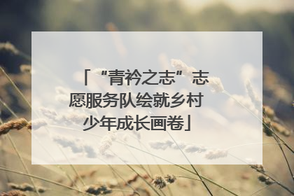 “青衿之志”志愿服务队绘就乡村少年成长画卷