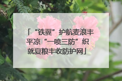 “铁翼”护航麦浪丰 平凉“一喷三防”织就夏粮丰收防护网