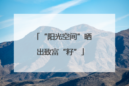 “阳光空间”晒出致富“籽”