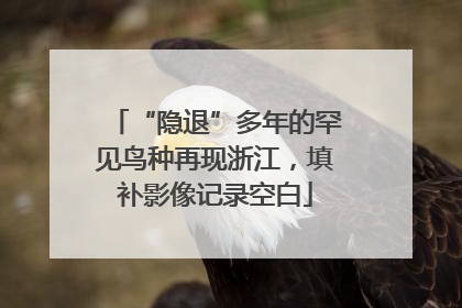 “隐退”多年的罕见鸟种再现浙江，填补影像记录空白