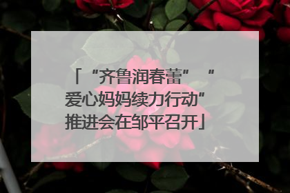 “齐鲁润春蕾”“爱心妈妈续力行动”推进会在邹平召开
