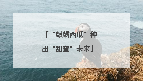 “麒麟西瓜”种出“甜蜜”未来